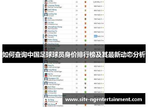 如何查询中国足球球员身价排行榜及其最新动态分析