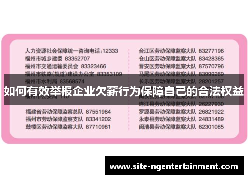 如何有效举报企业欠薪行为保障自己的合法权益
