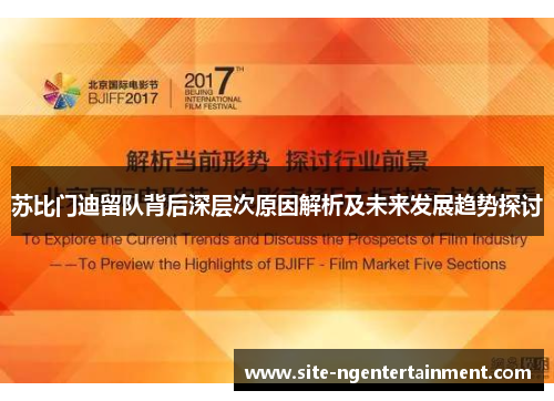 苏比门迪留队背后深层次原因解析及未来发展趋势探讨