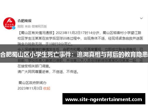 合肥蜀山区小学生死亡事件：追溯真相与背后的教育隐患