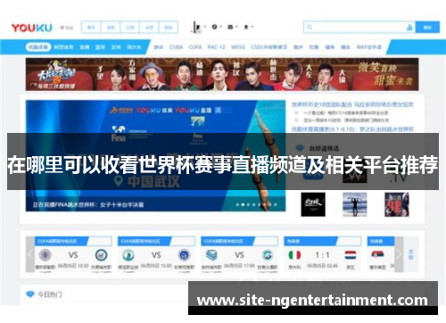 在哪里可以收看世界杯赛事直播频道及相关平台推荐