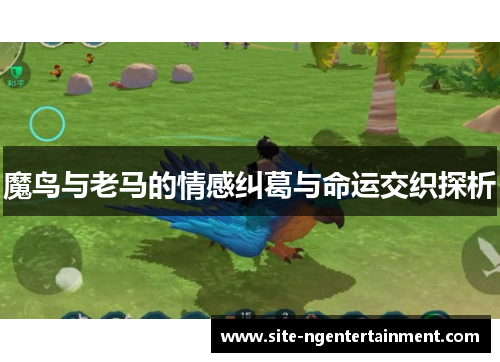 魔鸟与老马的情感纠葛与命运交织探析