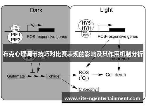 布克心理调节技巧对比赛表现的影响及其作用机制分析