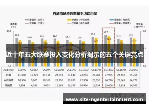 近十年五大联赛投入变化分析揭示的五个关键亮点